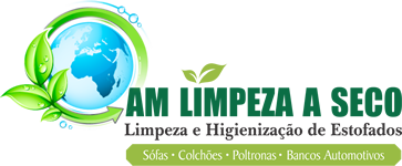 Lavagem de sofá em BH Belo Horizonte